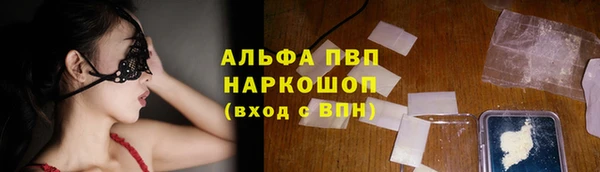 ECSTASY Магас