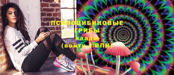 ECSTASY Магас