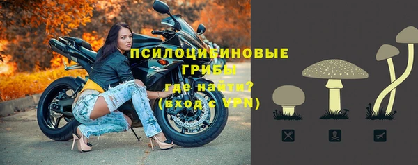 тгк Мегион
