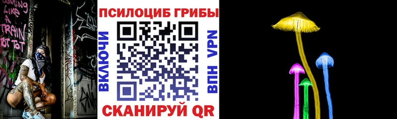 Псилоцибиновые грибы Cubensis  omg ссылки  Майкоп 